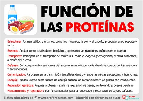 Función de las Proteínas