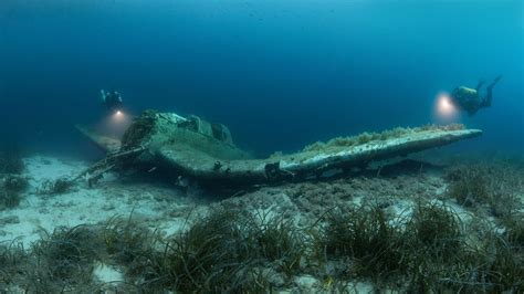 Winners Of The 2018 Underwater Photographer Of The Year Contest The