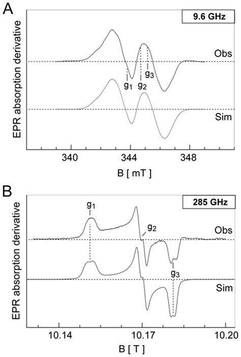 X Band And Hf Epr Spectra Of Ebv R Low Temperature Epr Spectra Of The