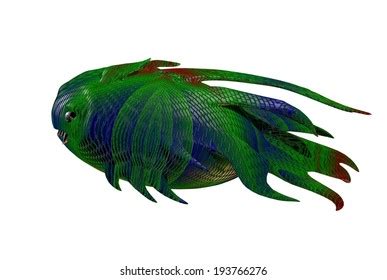 Coelacanth Fossil Replica Stock Illustration 193766276 | Shutterstock