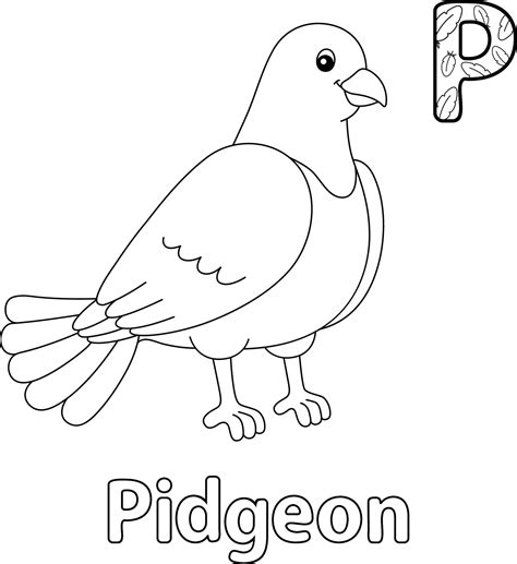 Pigeon Alphabet Abc Coloriage P Art Vectoriel Chez Vecteezy