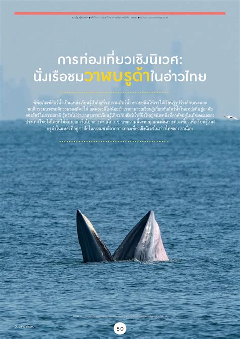 การท่องเที่ยวเชิงนิเวศ นั่งเรือชมวาฬบรูด้าในอ่าวไทย สถาบันส่งเสริม