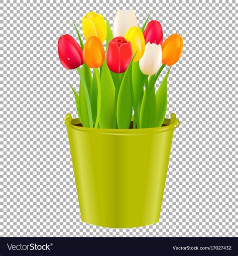 Tulip In Pot Royalty Free Vector Image Vectorstock