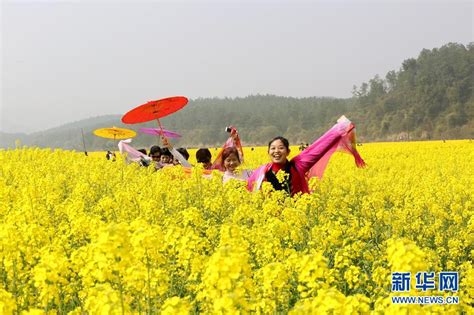 花开引客来 国际在线