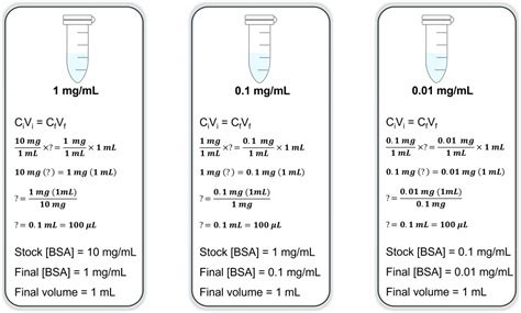 Chapter Lab Overview And Background Information Bbs Oer Lab Manual