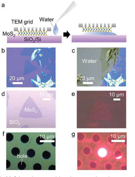 Figure 1 From Restoring The Intrinsic Optical Properties Of Cvd Grown