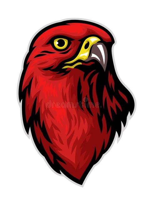 Head Of Red Hawk Stock Vector Illustration Of Falcon 247123077