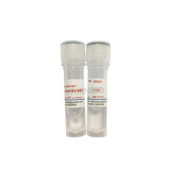 Recombinant enterokinase_Pharmasources.com