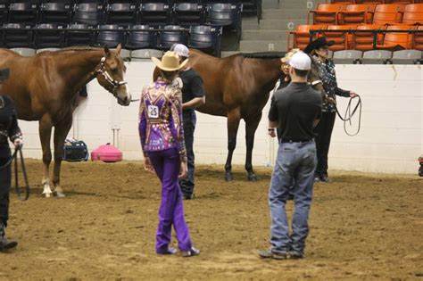 Eastern Ohio Quarter Horse Show update :: Ohio Quarter Horse ...