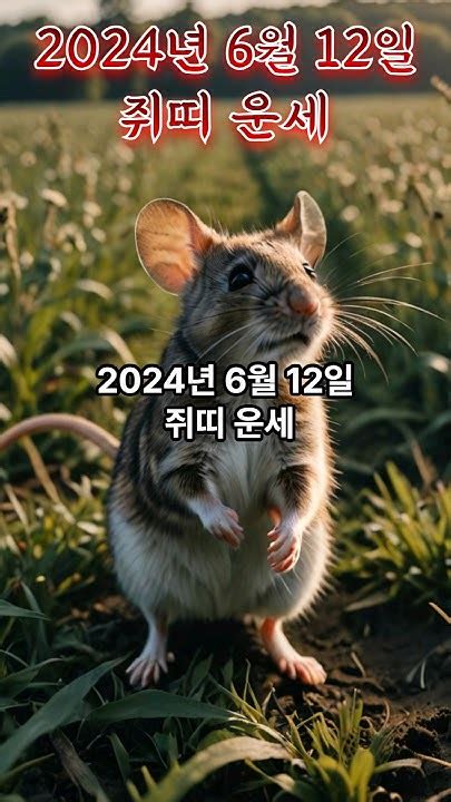 2024년 6월 12일 쥐띠 쥐띠의 운세 48년생 60년생 72년생 84년생 96년생 48년생쥐띠 60년생쥐띠