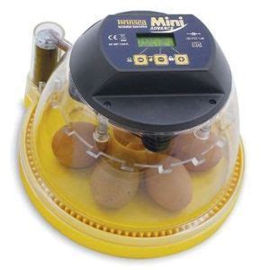 Brinsea Mini Advance Incubator Egg Incubator Hatching Duck Eggs