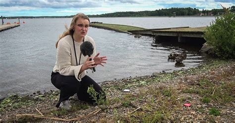 Bad i Nyköpingsån kan bli verklighet badtester ger positiva resultat