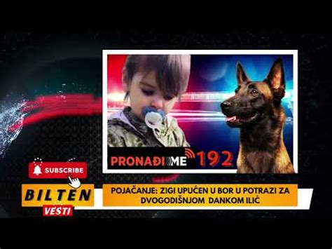 Poja Anje Zigi Upu En U Bor U Potrazi Za Dvogodi Njom Dankom Ili