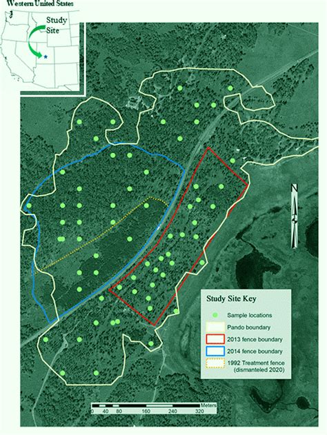 Pando, Earth’s Largest Living Organism, is ‘Breaking Up’ Because of Herbivory and Fencing | Sci.News