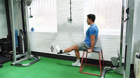 Seated Leg Extension Cable Cable Strength And Conditioning