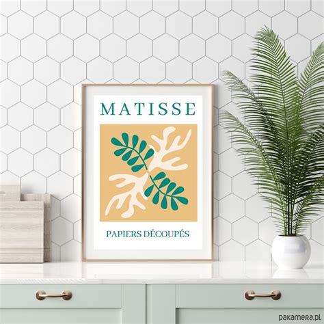 Plakat Henri Matisse Ilustracja Botaniczna Kolorowa Grafika Do Salonu