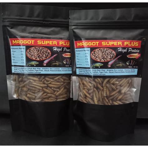 Jual Maggot Super Plus 50g BSF Ulat Hongkong Pakan Arwana Louhan Channa