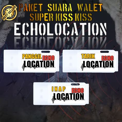 Jual Paket Suara Walet Echolocation Original Respon Kiss Suara Walet