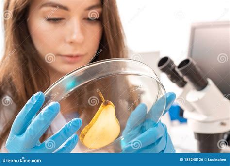 Inspection Of The Quality Of Vegetables And Fruits In The Laboratory Of