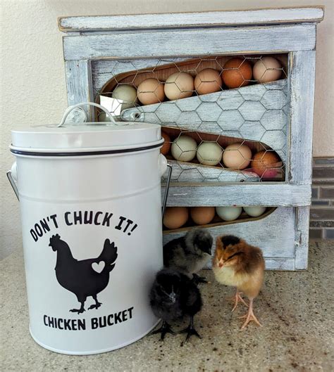 Chicken Bucket - Etsy