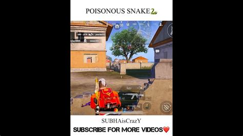 Poisonous Snake In Bgmi🐍🐍shorts Bgmi Pubg Youtubeshorts Shortvideo