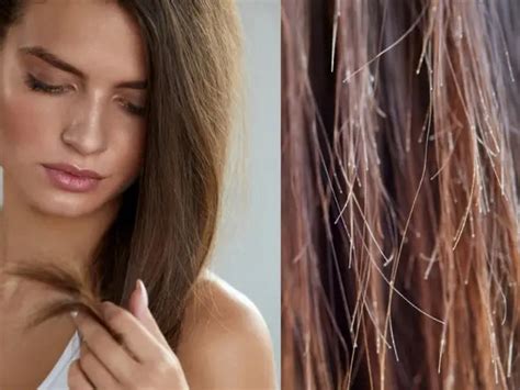 18 Dicas para melhorar aparência do cabelo Blog Donna Hair