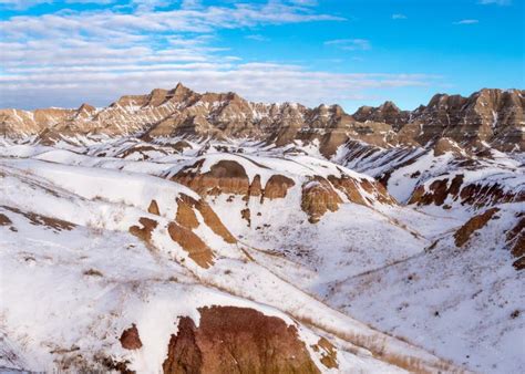 Badlands American Bison Bull (Bison Bison) Stock Image - Image of ...