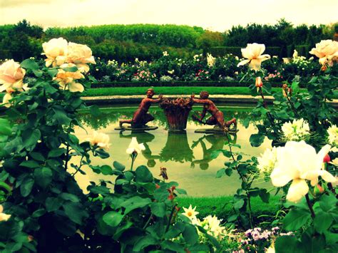 Most Beautiful Rose Gardens In The World