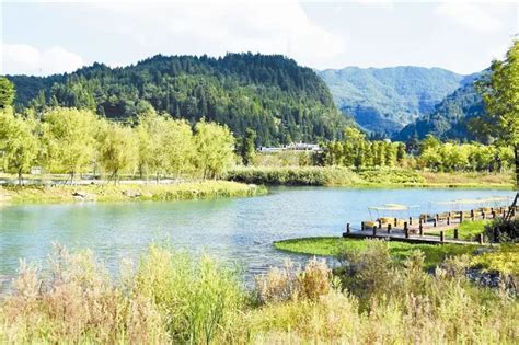 毕节一地最新人事任免 毕节女孩登上欧国联决赛大屏 毕节丨早安澎湃号·政务澎湃新闻 The Paper