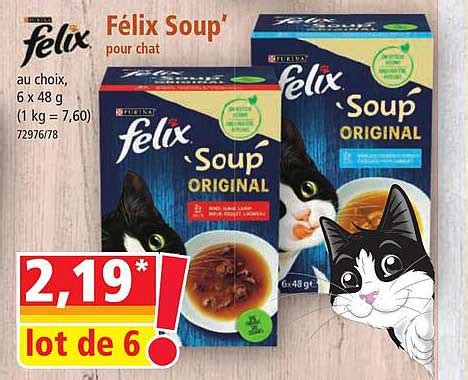 Promo Félix Soup Pour Chat chez Norma iCatalogue fr