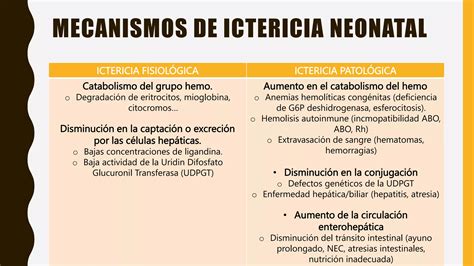 Ictericia Neonatalpptx