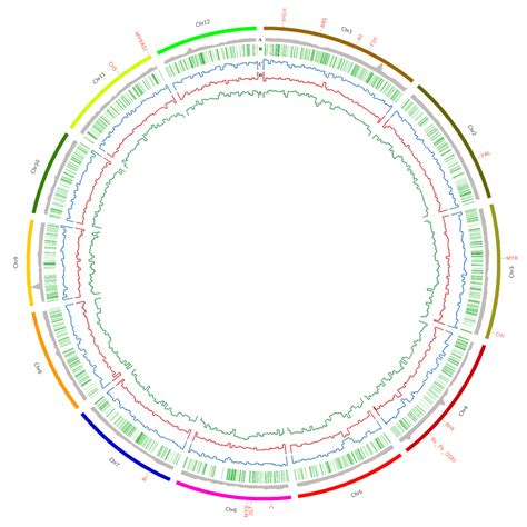 Comprehensive Genome Wide Analysis Of Purpleputtu Pp Characteristics