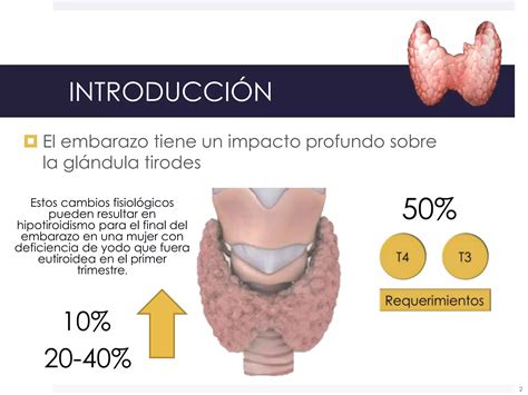 Enfermedad Tiroidea Y Embarazo Ppt Descarga Gratuita