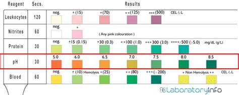 Urine PH (Normal PH Levels, Range, Chart) Causes Of, 44% OFF