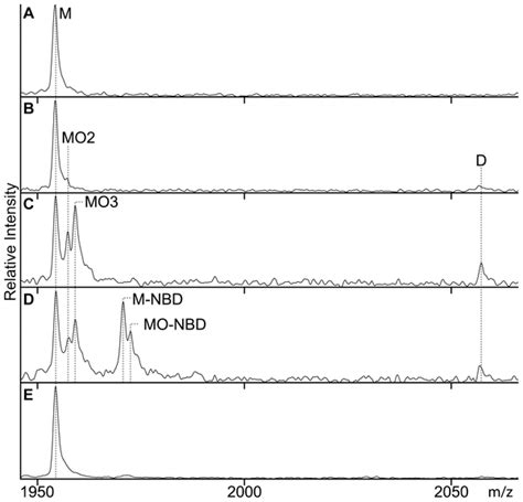 Anion exchange chromatography | PLOS ONE