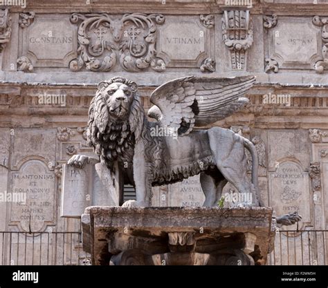 Statua Del Leone Di San Marco E Pallazo Maffei In Piazza Delle Erbe A