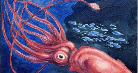 Giant Squid Painting At Paintingvalley Explore Collection Of