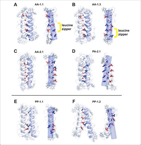 Self Association Of Transmembrane α Helices In Model Membranes