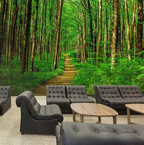 3d Forest Path 198 Wall Murals Aj Wallpaper