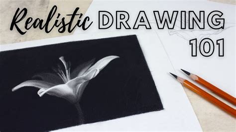 Realistic Drawing 101 | The Drawing Source