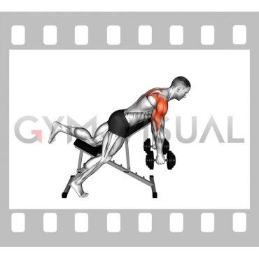 Dumbbell Incline Reverse Raise With Chest Supported Skier Male