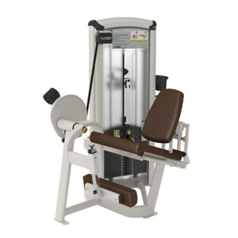 Cybex VR3 Lateral Raise Used Gym Equipment