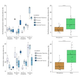 Taxa Bar Plot Representing The Relative Abundance Of The Top Most