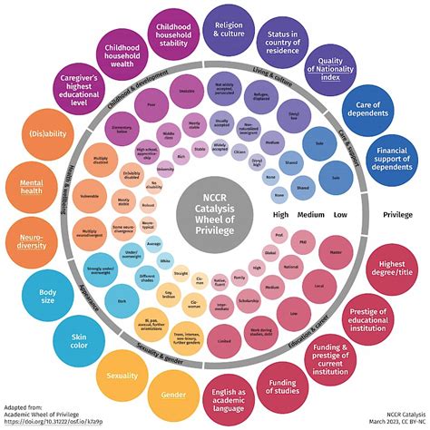 Wheel Of Privilege