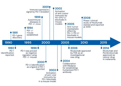 Cancer And The Immune SystemResearchCenter For Cancer Immunotherapy