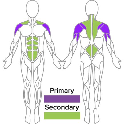 Standing Cable Shoulder Press - Green Physique