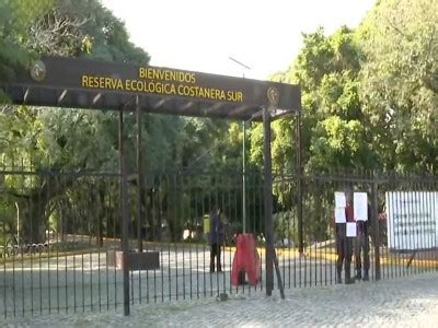 La Reserva Ecol Gica De Costanera Sur Presentar La Feria Sustentable