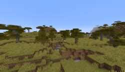 Savanna – Official Minecraft Wiki