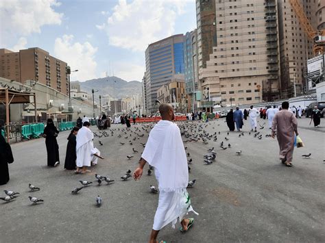 Mekka Saudi Arabi Maart Duiven In De Buitenste Binnenplaats