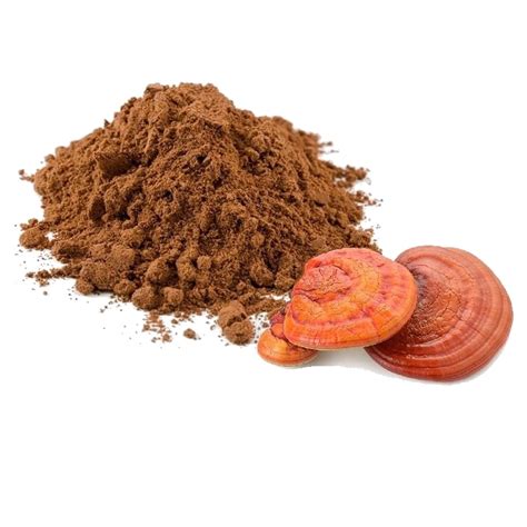 Organic Reishi Mushroom Powder Uk Sales Shop Th